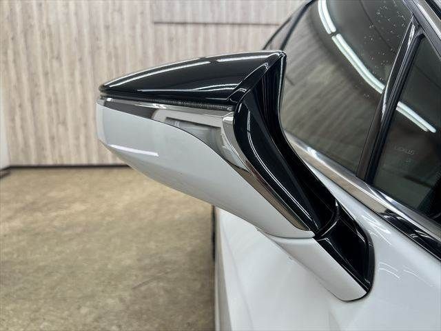 LEXUS UX250h