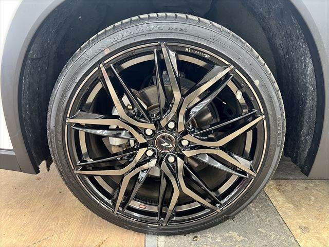 LEXUS UX250h
