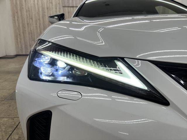 LEXUS UX250h