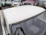 SUNNY truck