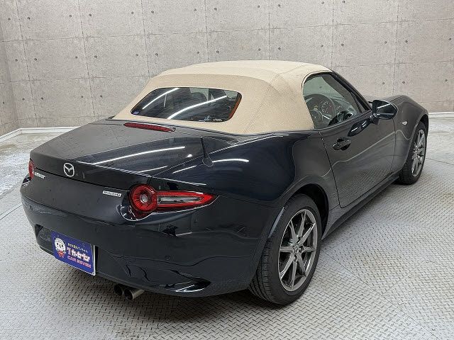 ROADSTER