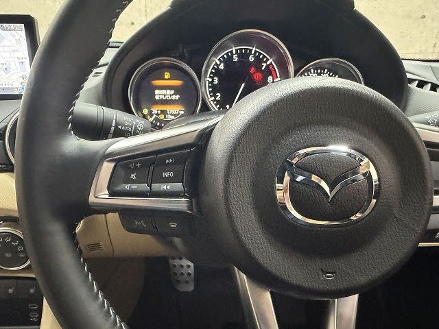 ROADSTER