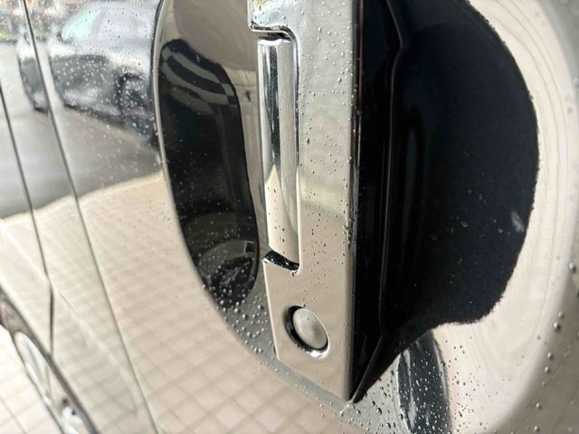 CARAVAN van 4WD