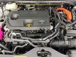 CROWN SPORT