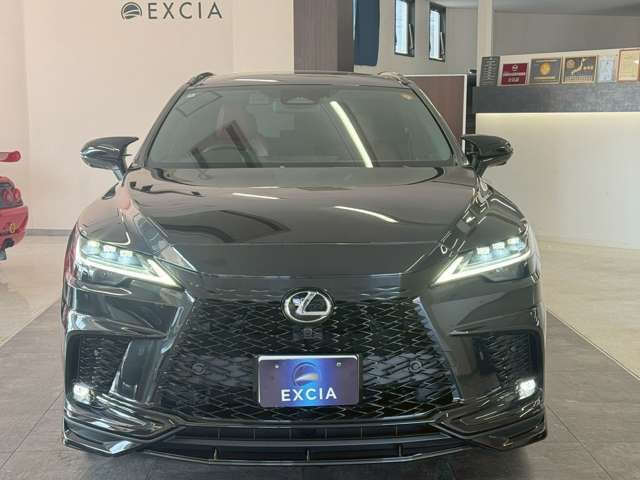 LEXUS RX500h