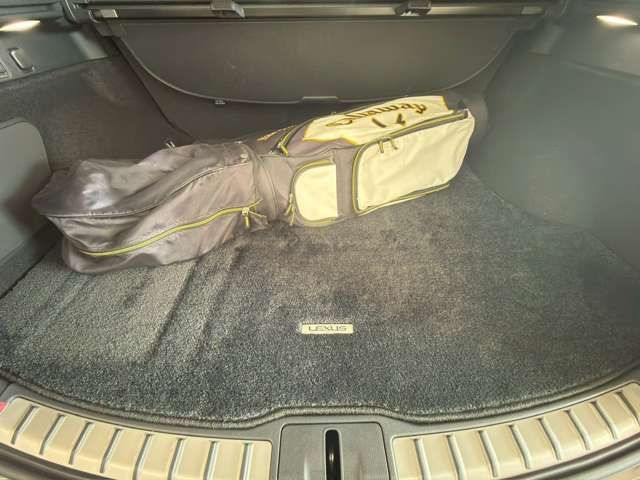 LEXUS RX500h