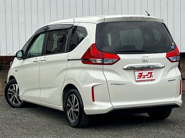 FREED plus HYBRID