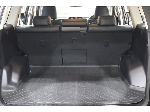 LANDCRUISER PRADO