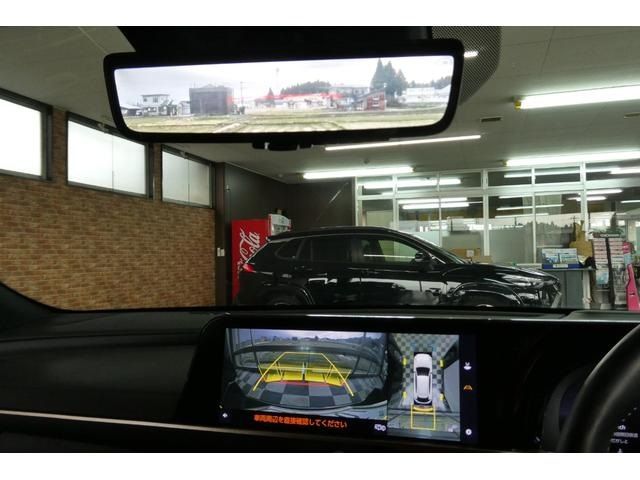 CROWN SPORT