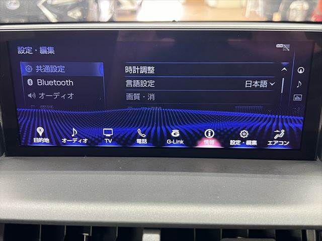 LEXUS NX300h