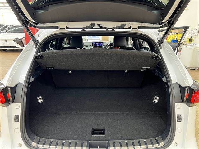 LEXUS NX300h