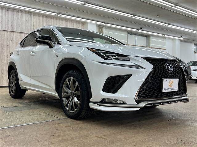 LEXUS NX300h