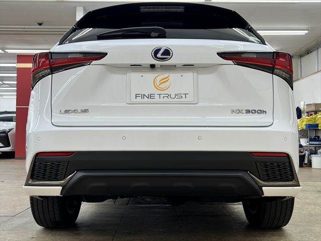 LEXUS NX300h