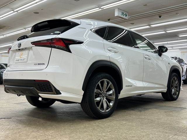LEXUS NX300h