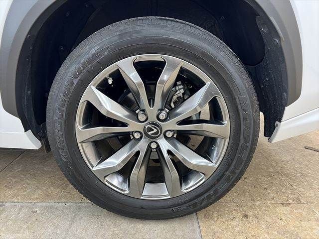 LEXUS NX300h