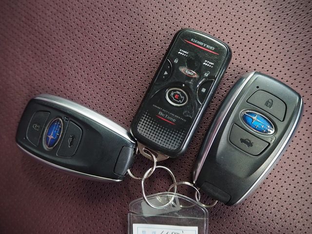 LEVORG