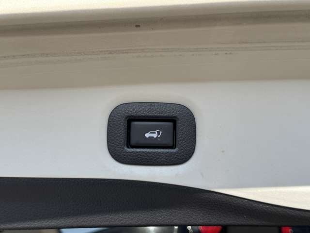 X-TRAIL HYBRID 2WD