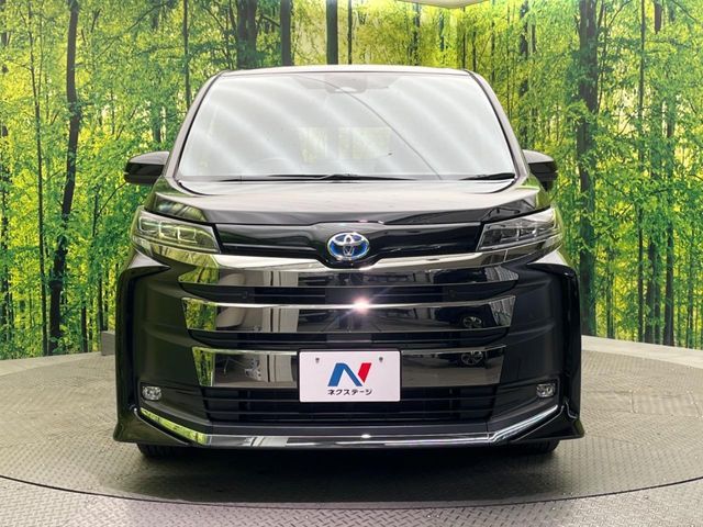 NOAH HYBRID