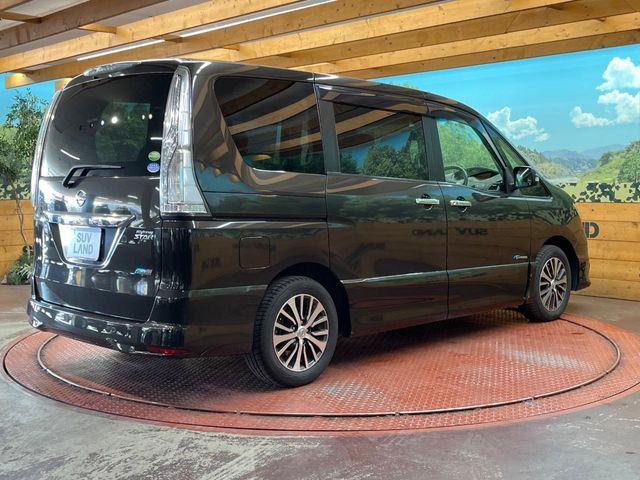 SERENA  S-HYBRID