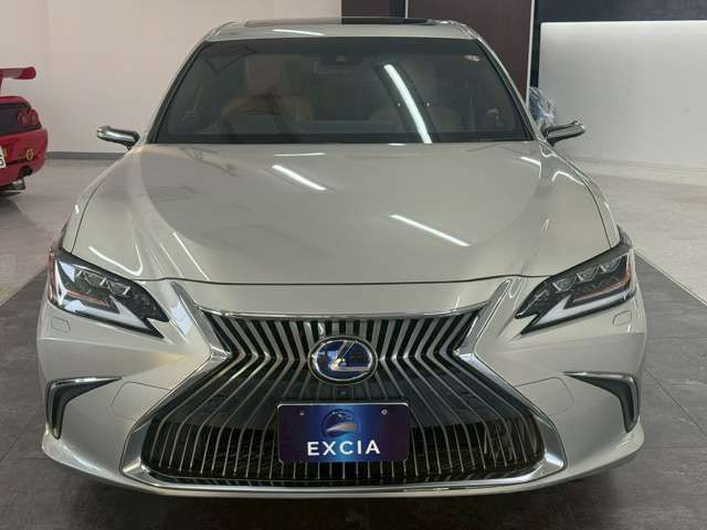 LEXUS ES300h