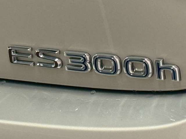 LEXUS ES300h