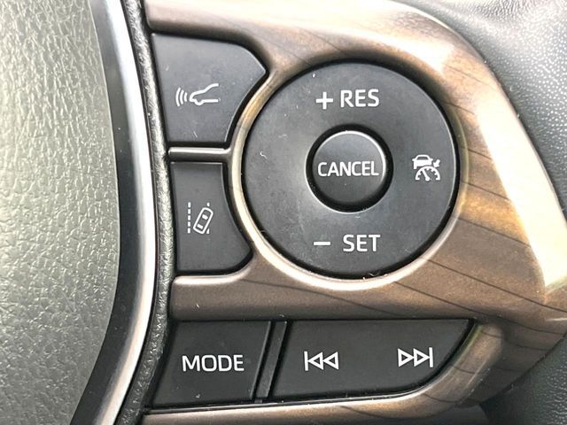 HARRIER PHEV
