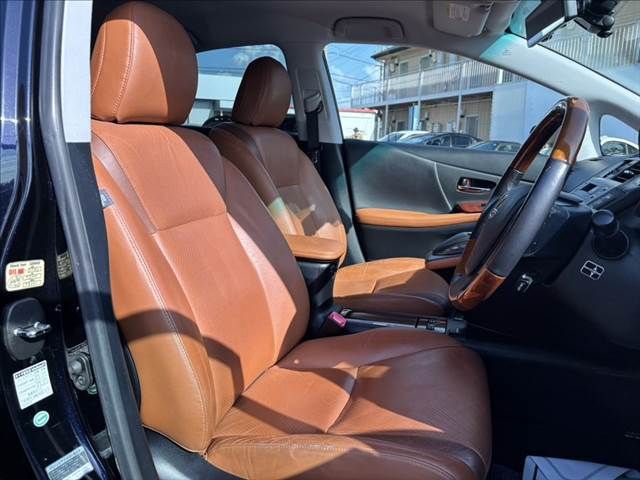 LEXUS HS250h