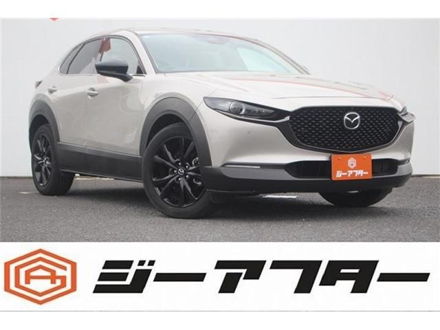 CX-30
