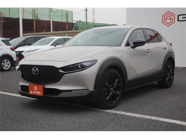 CX-30