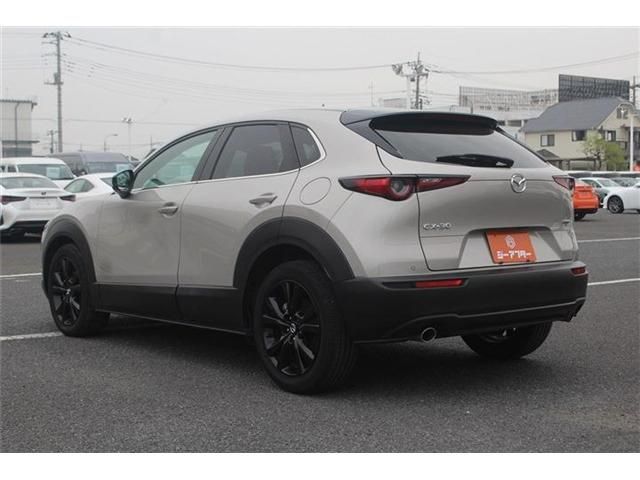 CX-30