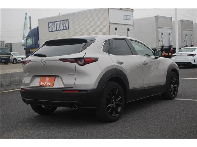 CX-30