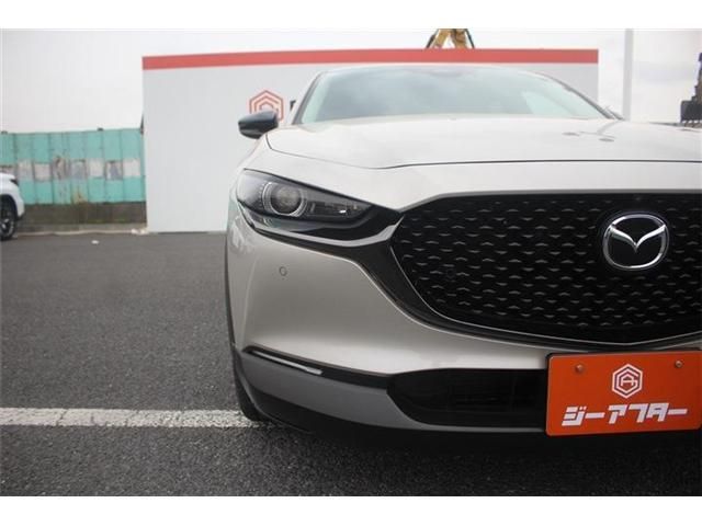 CX-30