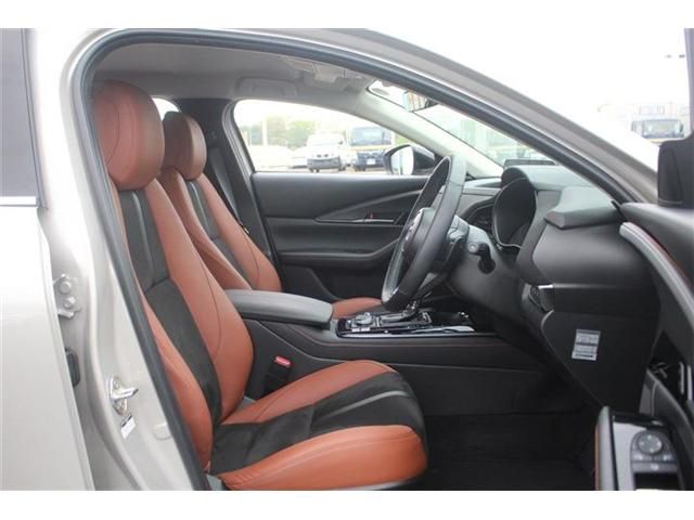 CX-30