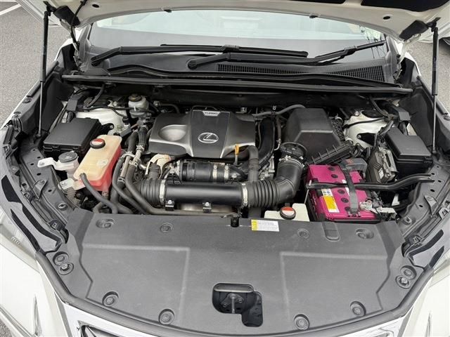 LEXUS NX200t