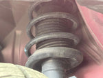 ROOX