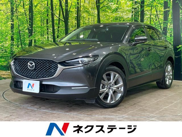 CX-30