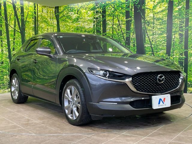CX-30