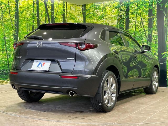 CX-30