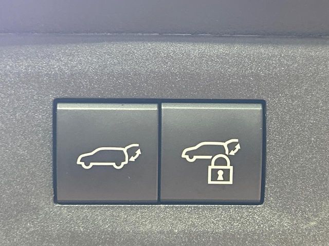 LEXUS NX350h