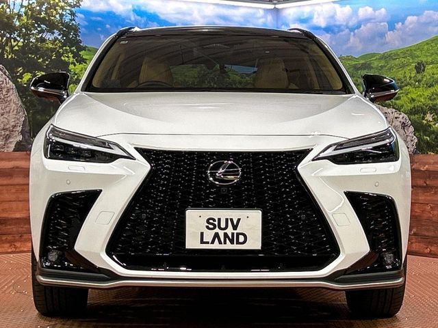 LEXUS NX350h