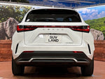 LEXUS NX350h