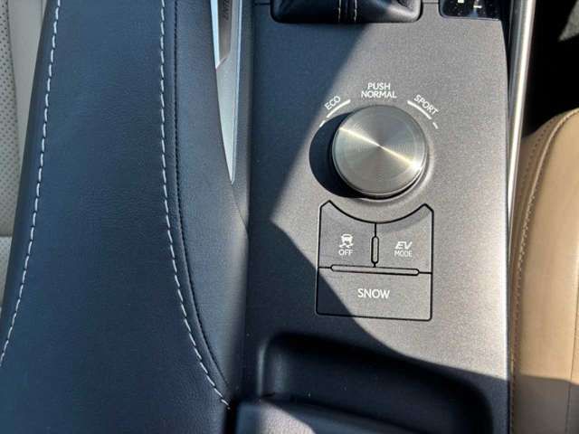 LEXUS IS300h