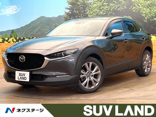 CX-30
