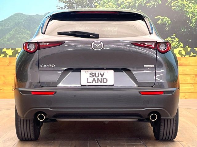 CX-30