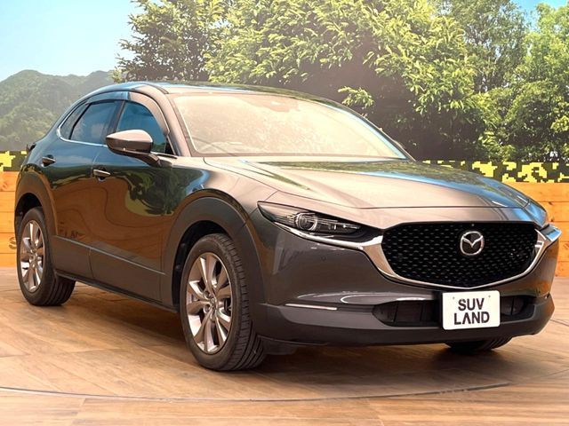 CX-30