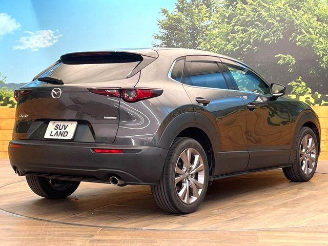 CX-30