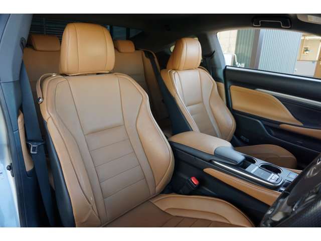 LEXUS RC300h