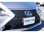 LEXUS RC300h