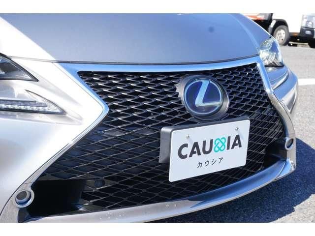 LEXUS RC300h
