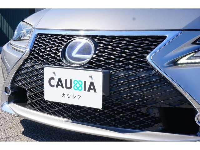 LEXUS RC300h